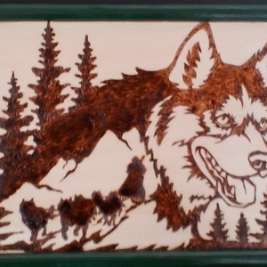 Tableau Husky